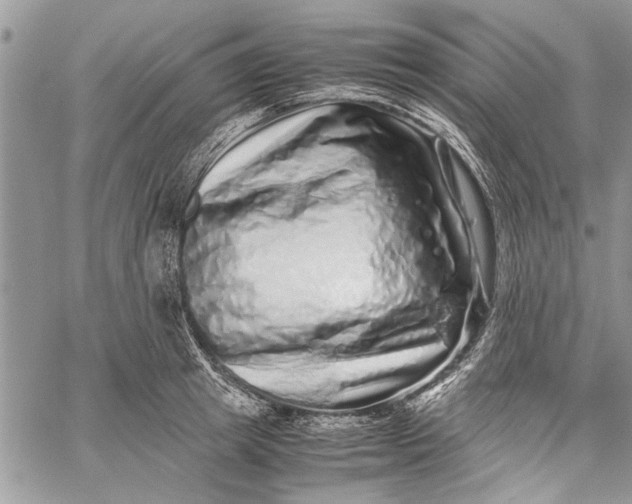 X0000062650849200601040916