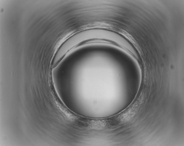 X0000062650850200601040916