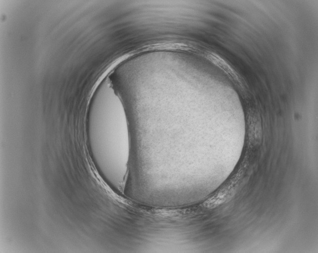 X0000062650852200601040916