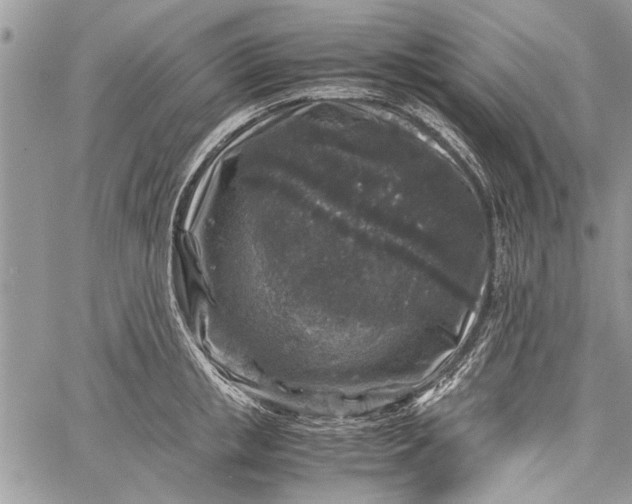 X0000062650853200601040916