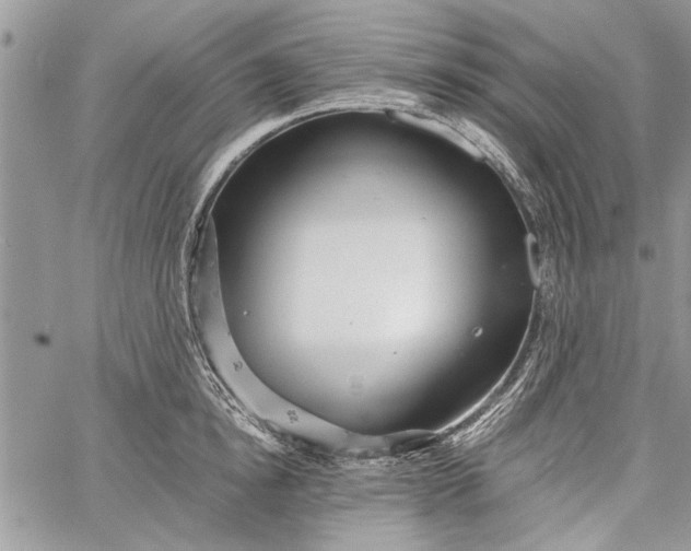 X0000062650854200601040916