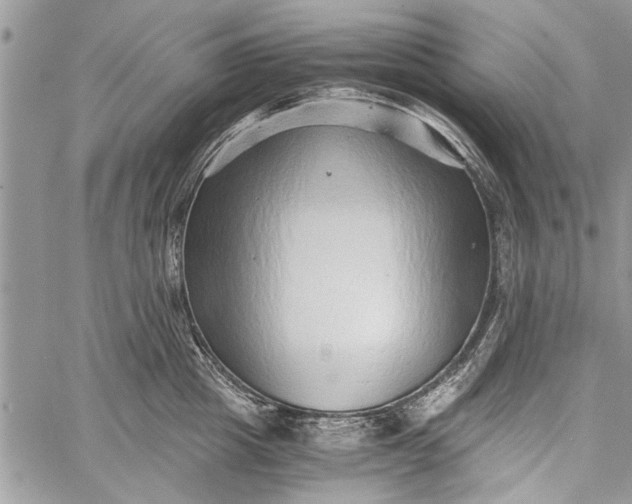 X0000062650857200601040916