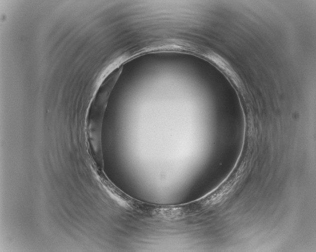 X0000062650858200601040916