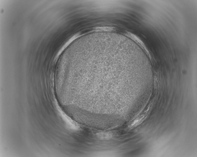 X0000062650859200601040916