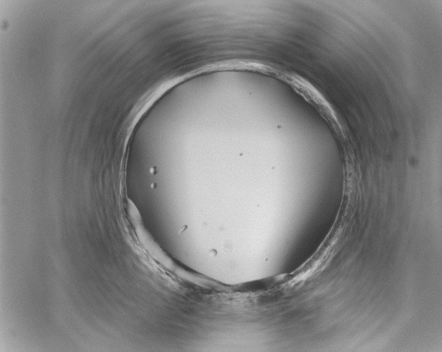 X0000062650860200601040916