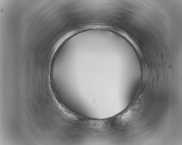 X0000062650861200601040916