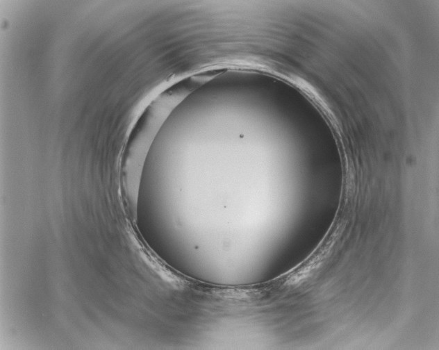 X0000062650862200601040916