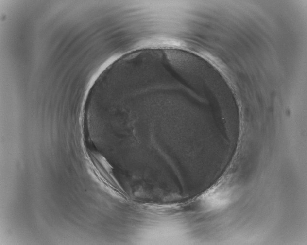 X0000062650864200601040916