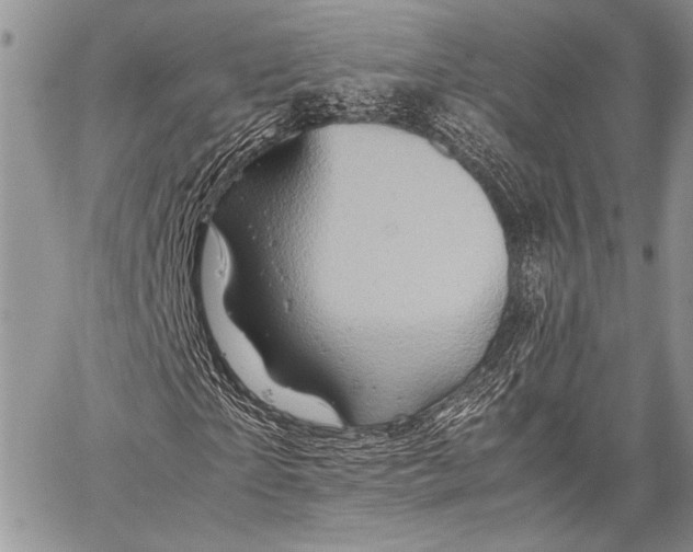 X0000062650865200601040915