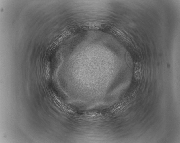 X0000062650866200601040915