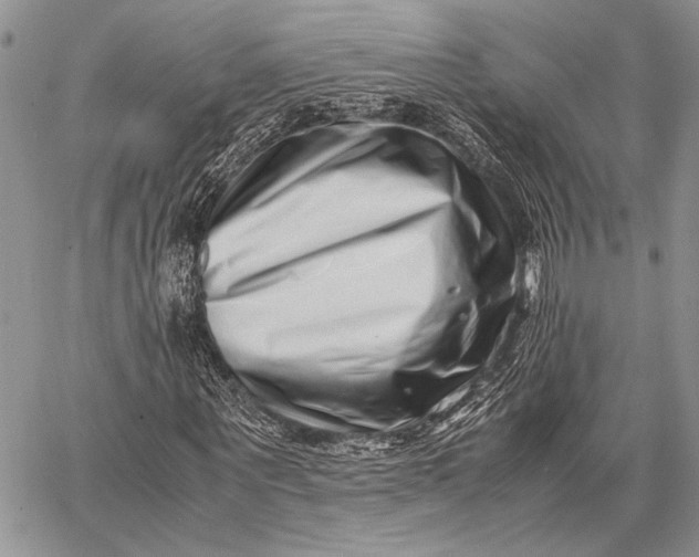 X0000062650867200601040915