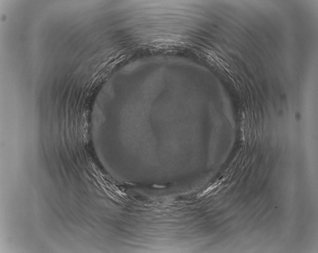 X0000062650868200601040915