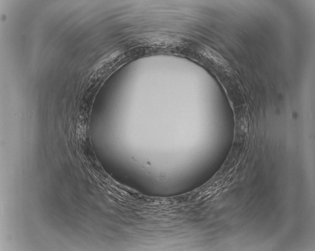 X0000062650869200601040915