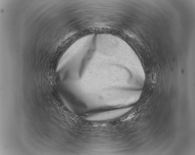 X0000062650870200601040915