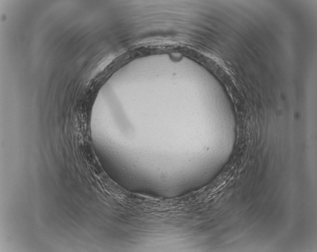 X0000062650871200601040915