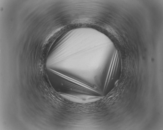 X0000062650872200601040915