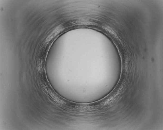 X0000062650873200601040915