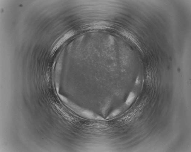 X0000062650874200601040915