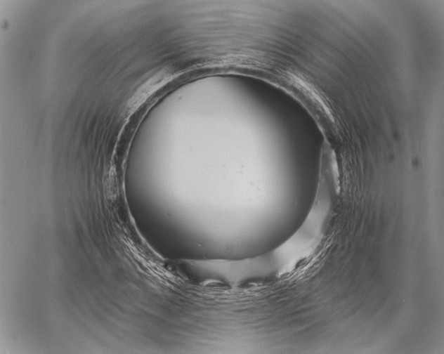 X0000062650876200601040915