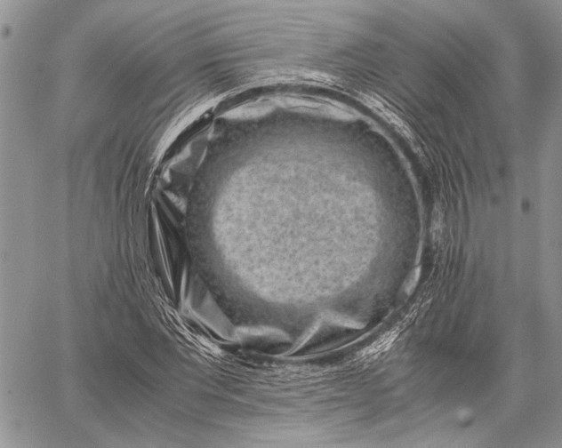 X0000062650877200601040915