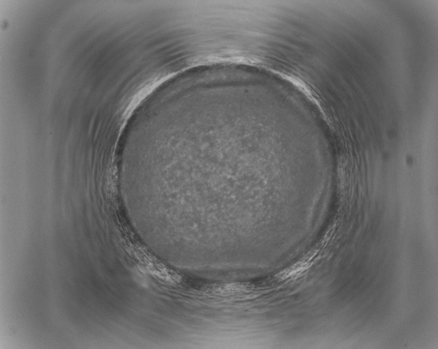 X0000062650879200601040915