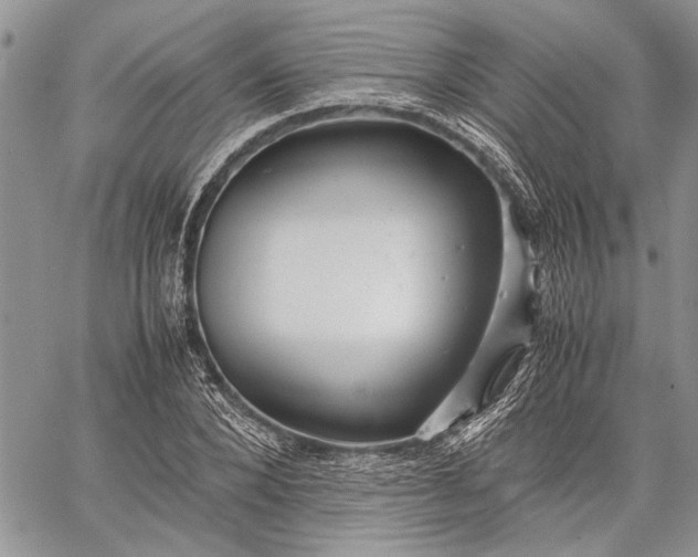 X0000062650880200601040915