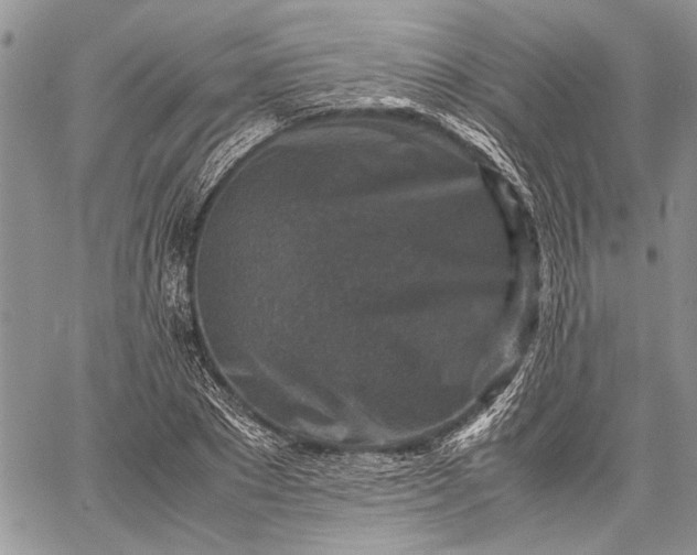 X0000062650881200601040915