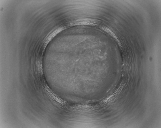 X0000062650882200601040915