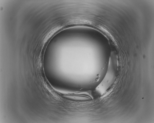 X0000062650885200601040915