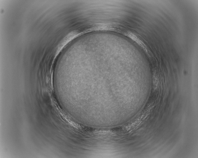 X0000062650886200601040915