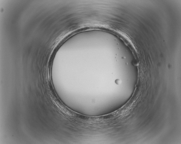 X0000062650887200601040915