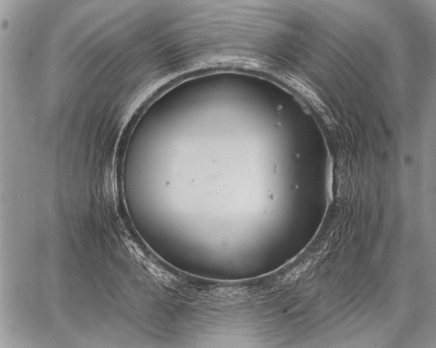 X0000062650888200601040915