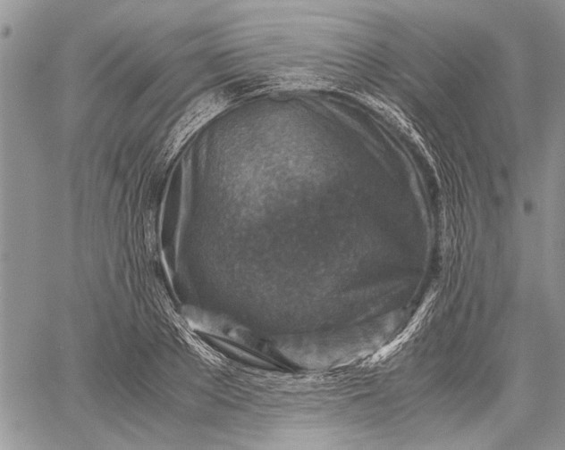 X0000062650889200601040915