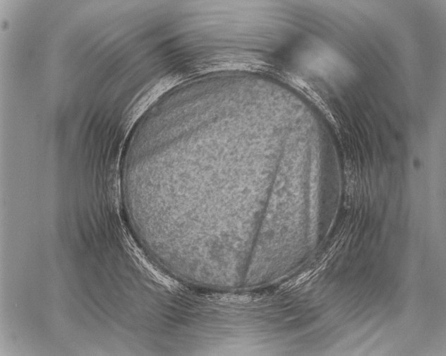 X0000062650890200601040915