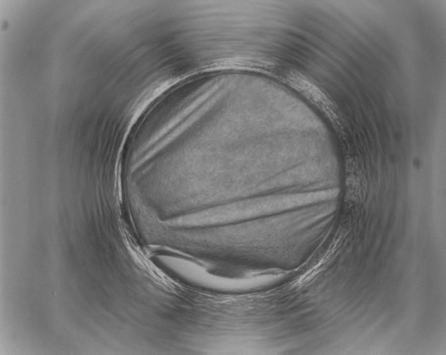 X0000062650892200601040915