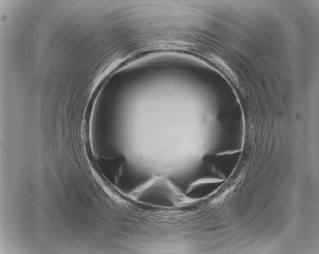 X0000062650893200601040915