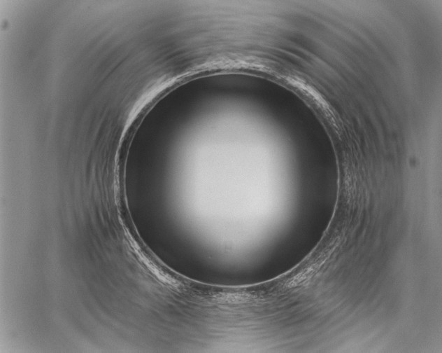 X0000062650894200601040915