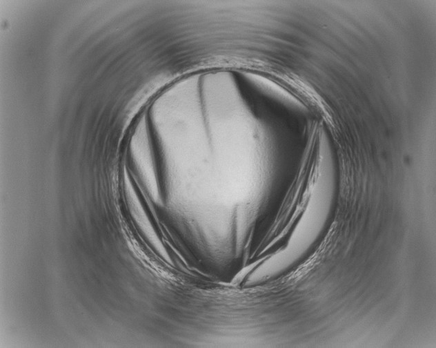 X0000062650896200601040915