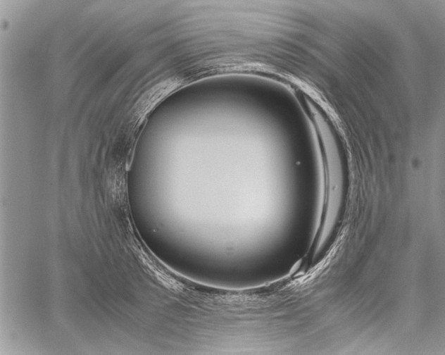 X0000062650897200601040915