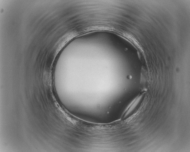 X0000062650898200601040915