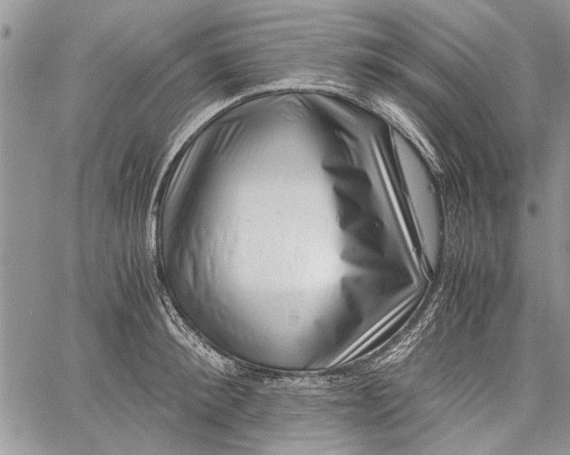 X0000062650900200601040915