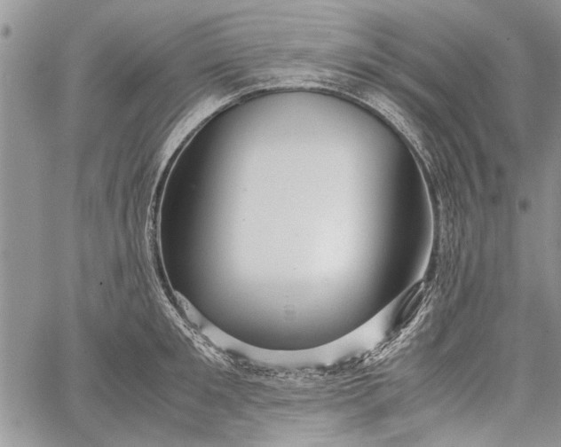 X0000062650901200601040915