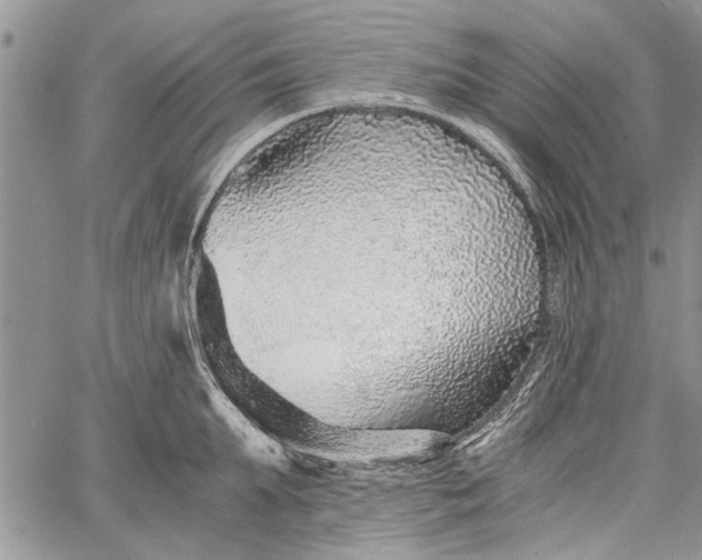 X0000062650903200601040915