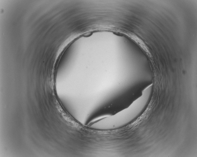 X0000062650904200601040915