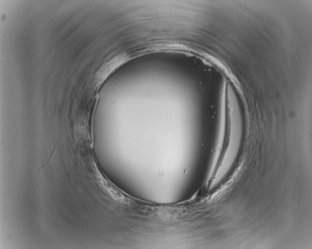 X0000062650905200601040915