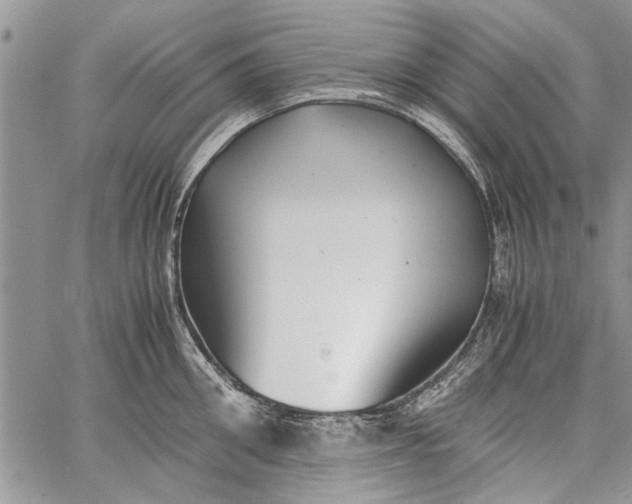 X0000062650906200601040915