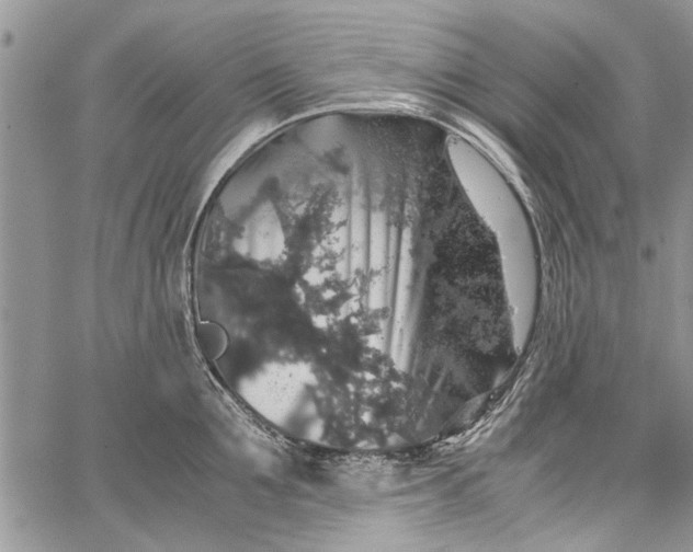 X0000062650907200601040915