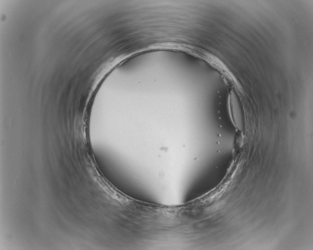 X0000062650908200601040915