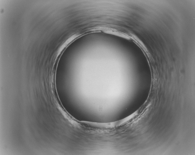 X0000062650909200601040915