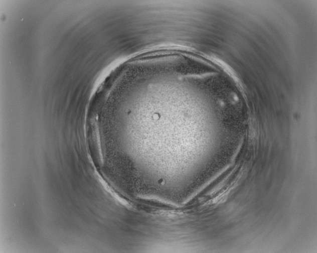 X0000062650910200601040915